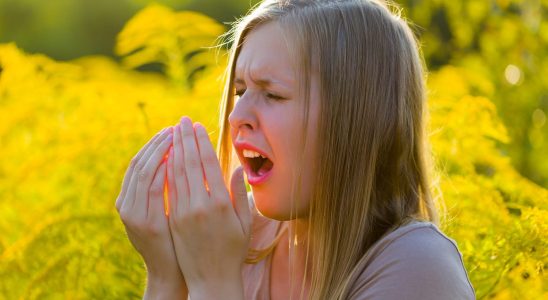 Why do we sneeze in the sun