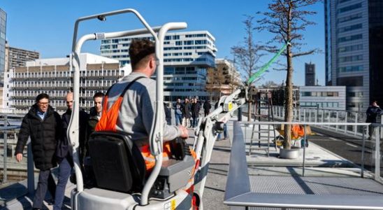 Wind force 10 guarantee not fulfilled Utrecht tree bridge continues