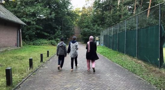 Zeist residents start a petition to keep 300 Afghan refugees