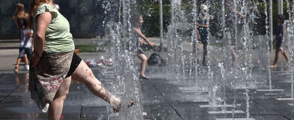 a worrying report measures the level of heat stress on