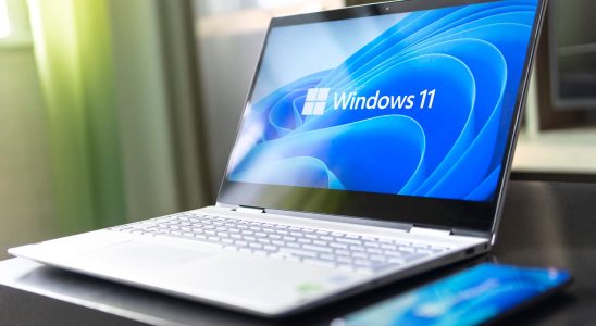 easily create a lite version of Windows 11