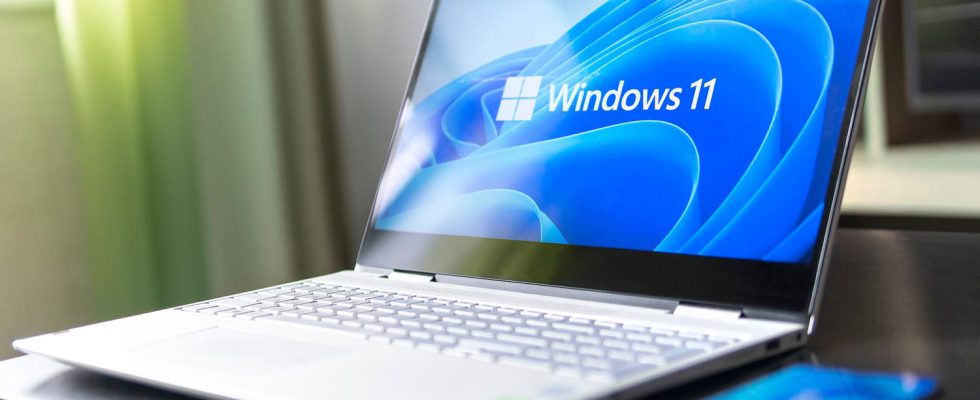 easily create a lite version of Windows 11