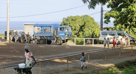 first three cases of native cholera identified in Mayotte