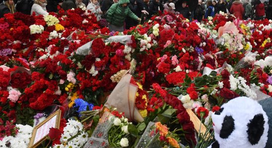 our readers react after the Moscow attack – LExpress