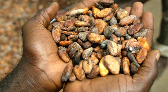 the farm gate price of a kilo of cocoa set