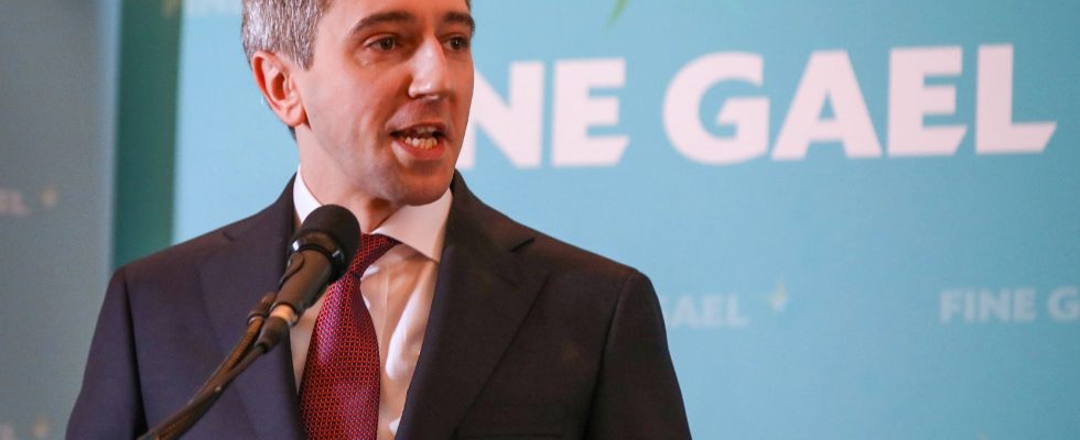 who is Simon Harris the new head of the Irish