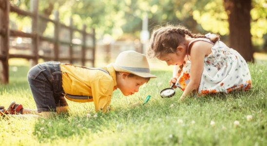 6 out of 10 children cannot recognize an oak leaf