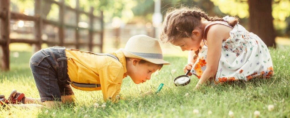 6 out of 10 children cannot recognize an oak leaf