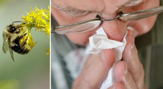 Allergic to pollen Then you need to seek care