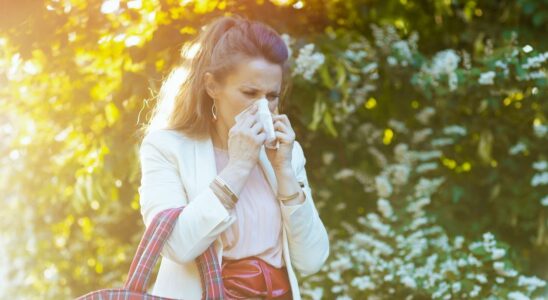 Allergy risk rises to high level in many departments