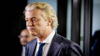 Analysis The Netherlands gets a special government designed to hide