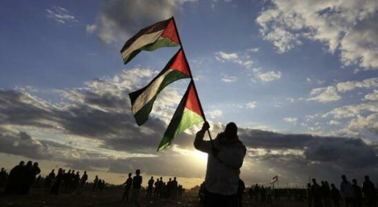 Another country has made its decision regarding Palestine They officially