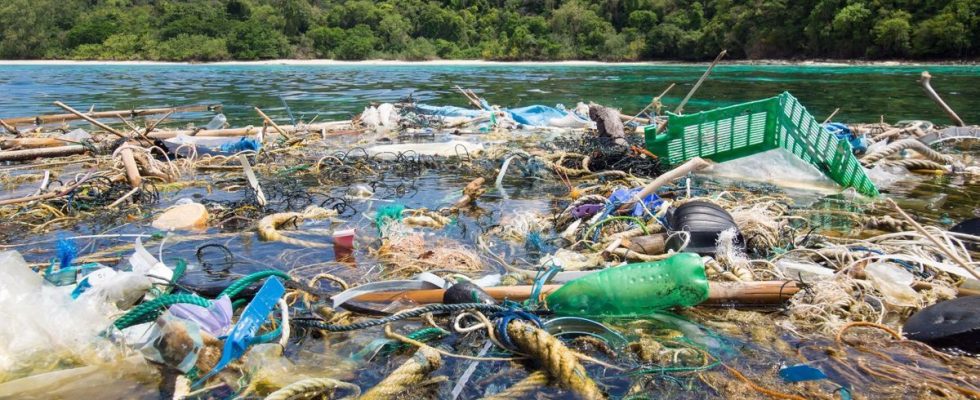 Around fifty multinationals responsible for half of global plastic pollution