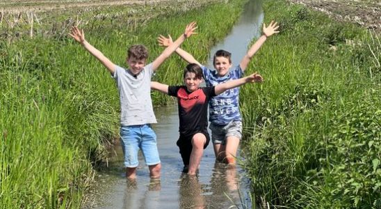 Children find old German bullet in their ditch I was