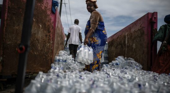 Cholera in Mayotte our revelations on the origin of the