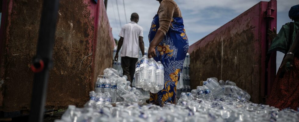 Cholera in Mayotte our revelations on the origin of the