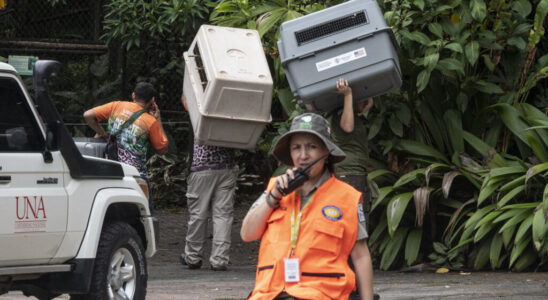 Costa Rica first country to close all its public zoos