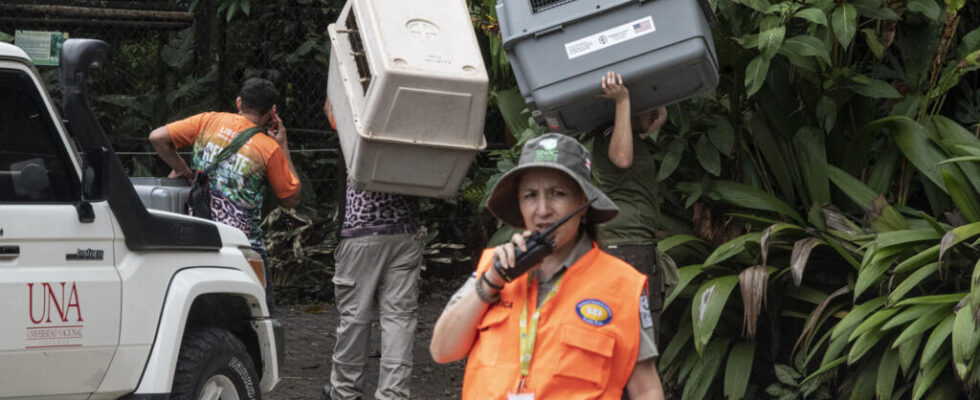 Costa Rica first country to close all its public zoos