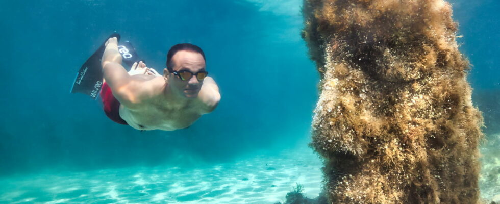 Diving in this French bay we discover mysterious statues submerged