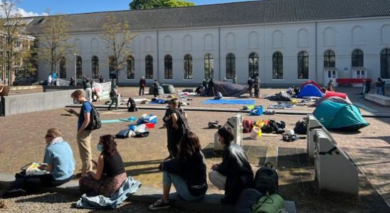 Dozens of pro Palestinian demonstrators occupy the courtyard of the Utrecht