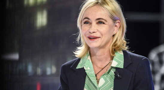 Emmanuelle Beart can no longer stand being asked this same