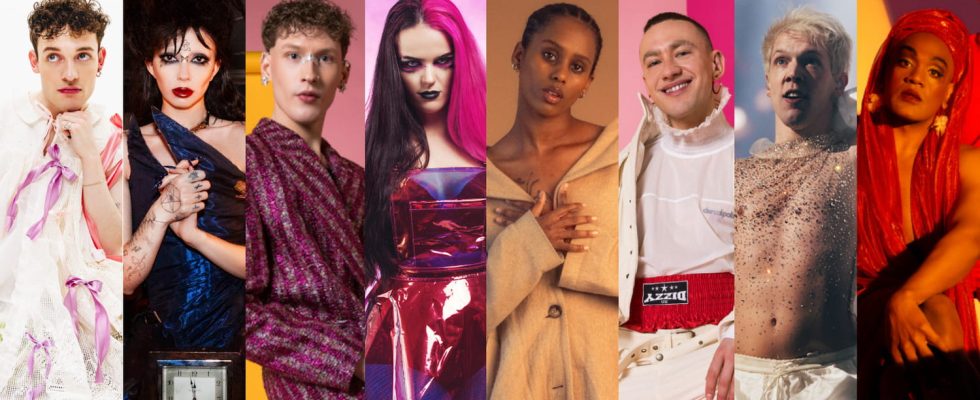 Eurovision LGBT candidates overrepresented in 2024