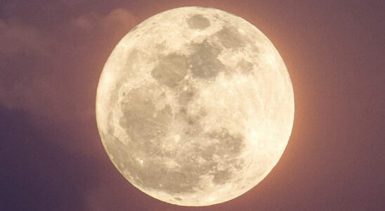 Full Flower Moon of May 2024 a wind of spring