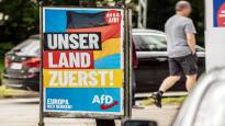 Germanys far right AfD party was kicked out of its European