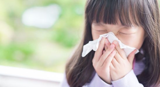 Hay fever natural and accessible tips to relieve seasonal allergies