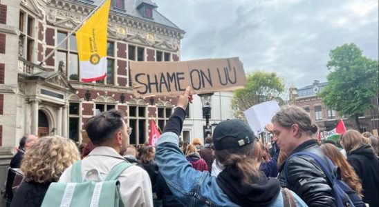 Hundreds of demonstrators on Domplein protest organized by university employees