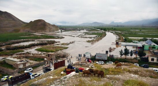 In Afghanistan flash floods kill at least 311 people –