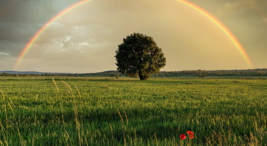 In June the depression returns The very bad weather news