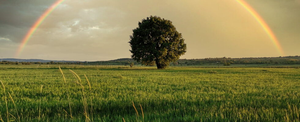 In June the depression returns The very bad weather news