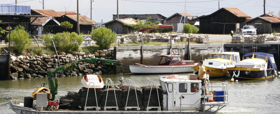 In the Arcachon basin oyster sales still lagging behind