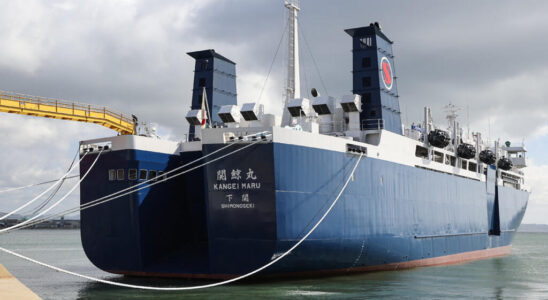 Kangei Maru the new Japanese behemoth dedicated to whaling