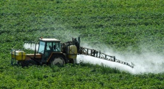 Le Parisien partly unveils the new Ecophyto pesticide reduction strategy