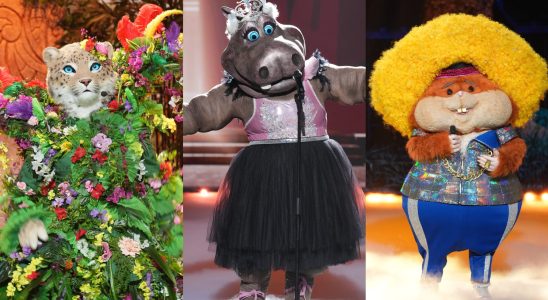 Mask Singer Hamster Hippopotamus Scarecrow The complete list of clues