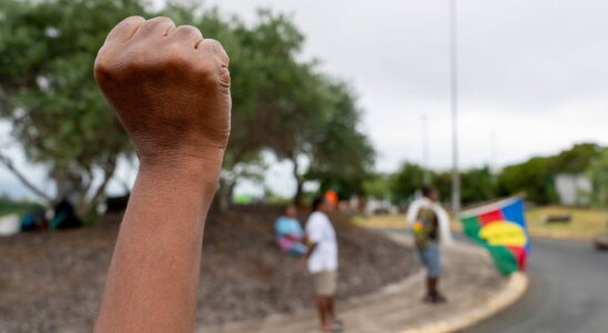 More than 150000 firearms for 270000 inhabitants in New Caledonia