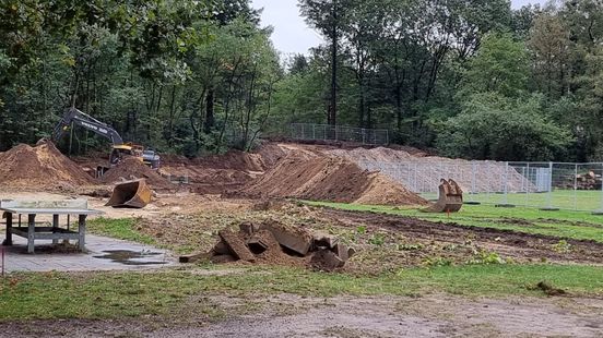 No criminal investigation into illegal felling of a hundred trees