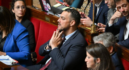 Palestinian flag in the Assembly explanations from the MP and