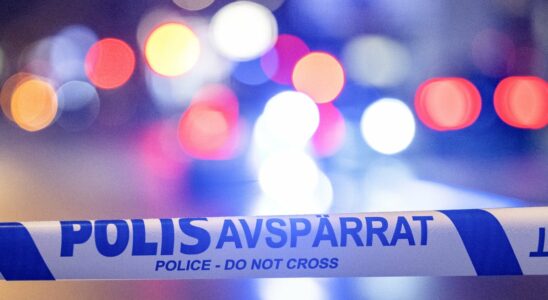 Person shot south of Stockholm large police effort