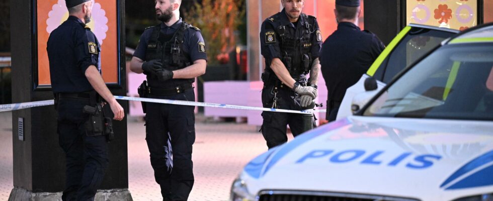 Several arrested after big fight in Malmo