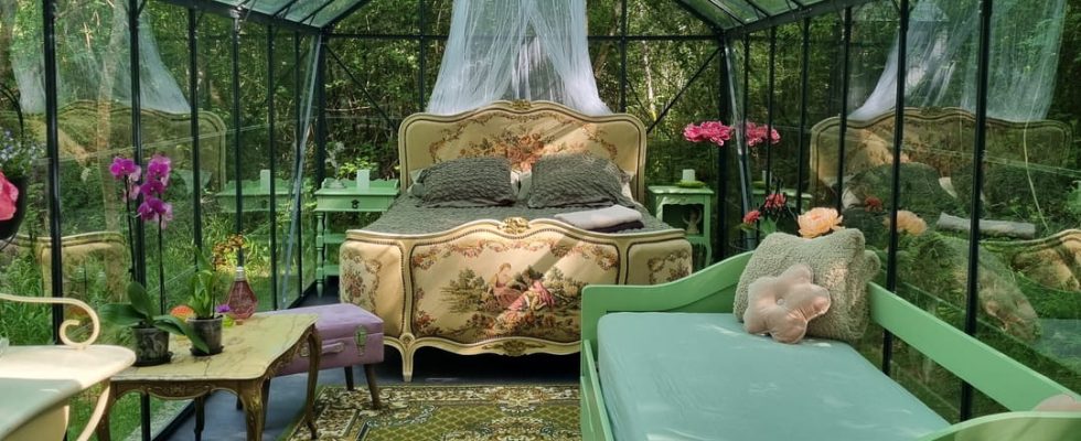 Sleep in a greenhouse