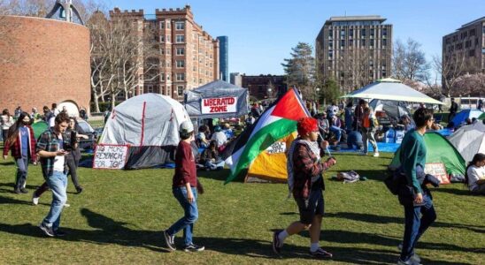 Student protest movements a long history