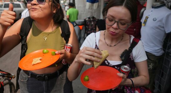 Tacohak will be the worlds smallest Michelin restaurant