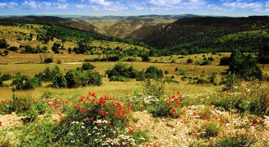 The Cevennes National Park