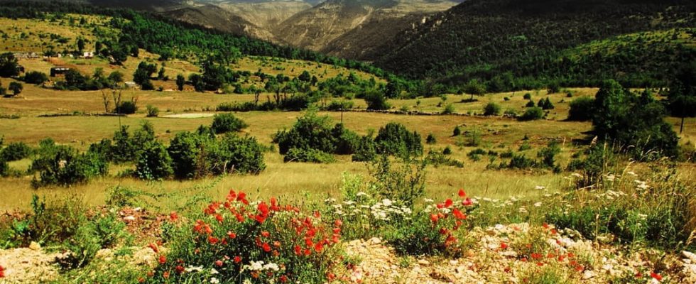 The Cevennes National Park