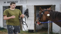 The NBA millionaires horse competed in Finland Nikola Jokic