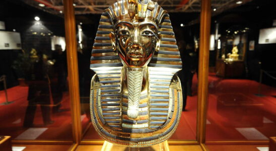 The curse of Tutankhamun which killed 20 people finally explained