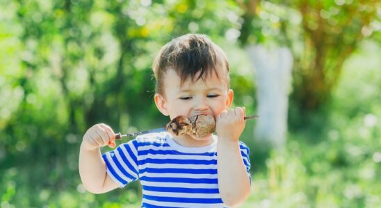 They fail to cook their bear skewers… and end up